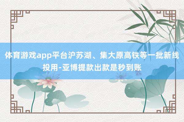 体育游戏app平台沪苏湖、集大原高铁等一批新线投用-亚博提款出款是秒到账