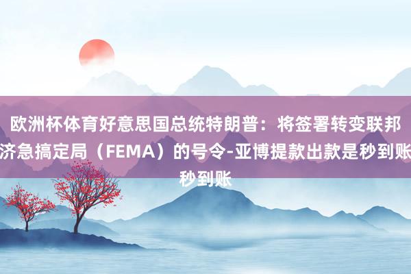 欧洲杯体育好意思国总统特朗普：将签署转变联邦济急搞定局（FEMA）的号令-亚博提款出款是秒到账